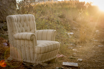 Chairs on field against trees