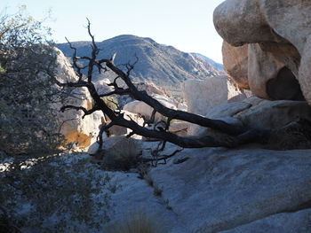Scenic view of mountains against clear sky
