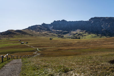 Scenic view of field against clear sky