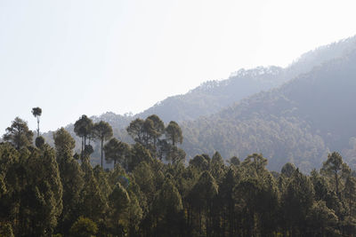 Panoramic view of trees and mountains against clear sky