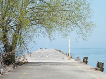 Road by sea against sky