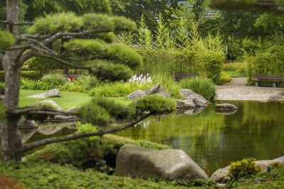 Scenic view of lake and trees