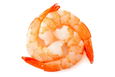 High angle view of orange fish on white background