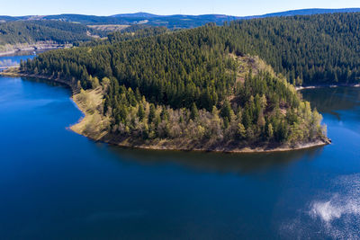 Scenic view of lake in forest