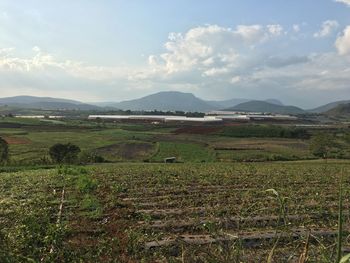 Scenic view of field against sky