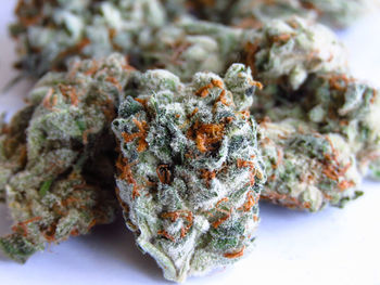 Close-up of ice cream over white background