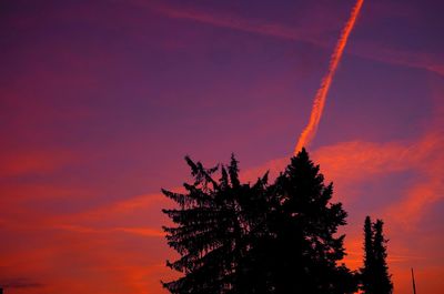 Low angle view of silhouette tree against sky during sunset