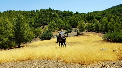 Man riding horse on field against sky