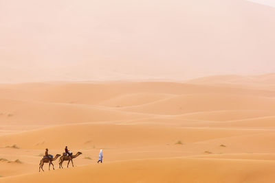 Scenic view of desert against sky