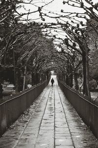 Rear view of woman walking on road amidst trees