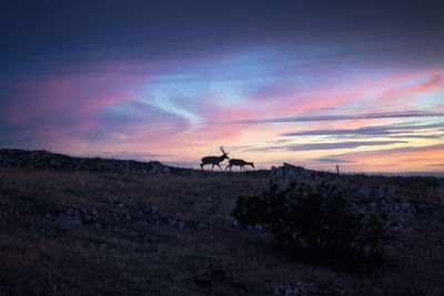 Scenic view of snowcapped mountains against sky during sunset