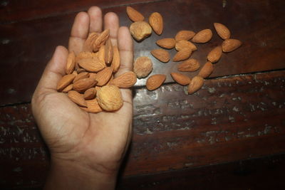 Close-up of hand holding bread