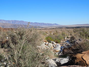 Scenic view of landscape against clear blue sky