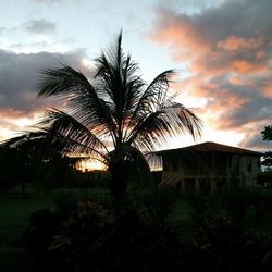 Silhouette of palm trees against cloudy sky