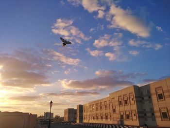 Low angle view of airplane flying in sky