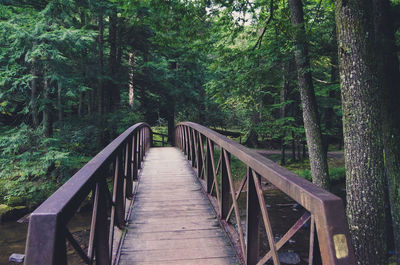 Empty footbridge amidst trees in forest