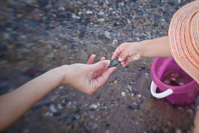 High angle view of woman hand on rock