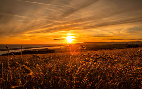 Scenic view of field against sky during sunset