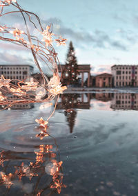 Close-up of illuminated lights over puddle against cloudy sky