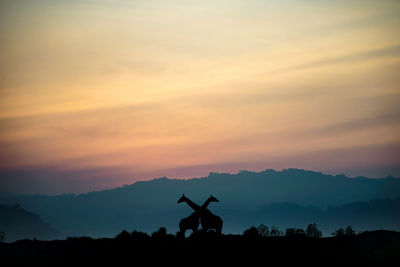 Silhouette of people on landscape against sunset sky