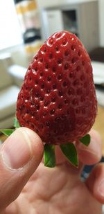 Close-up of hand holding strawberry