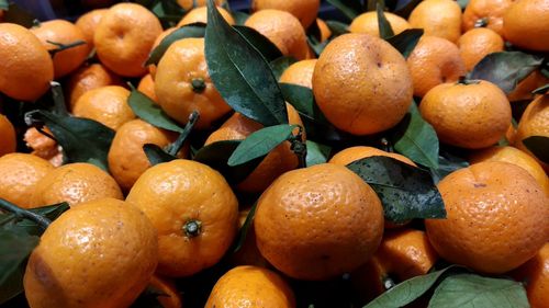 Full frame shot of oranges