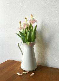 Close-up of white flowers in vase