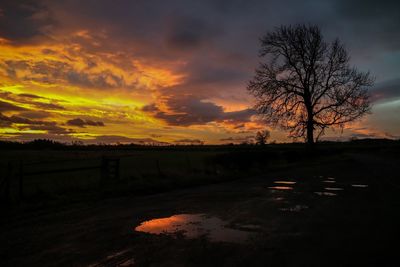 Silhouette bare trees on field against orange sky