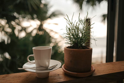 Close-up of coffee served on table
