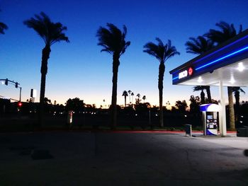 Silhouette of palm trees at night