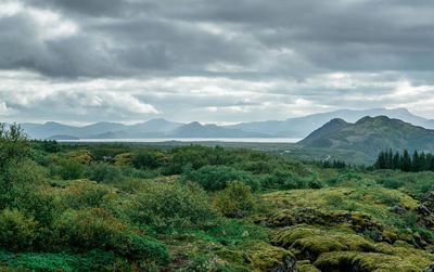 Scenic view of landscape against sky