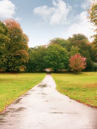 Footpath amidst trees against sky during autumn