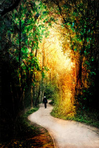 Man walking on road in forest