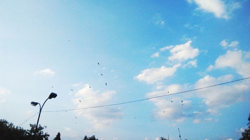 Low angle view of birds flying against sky