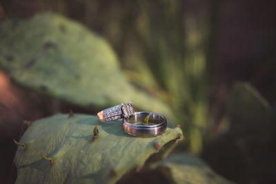 Linked together in love