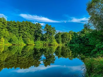 Reflection of trees in lake against blue sky