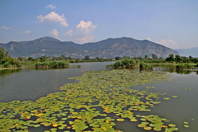 Scenic view of lake and mountains against sky