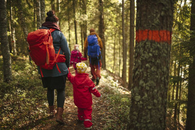 Rear view of people walking in forest