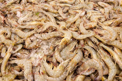 Full frame shot of fish for sale in market
