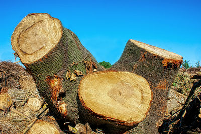 Close-up of log on field against clear sky