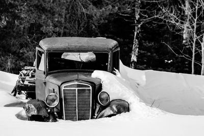 Close-up of vintage car on tree