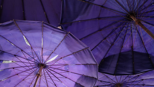 Low angle view of umbrella