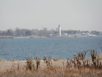 Reflection of trees in water