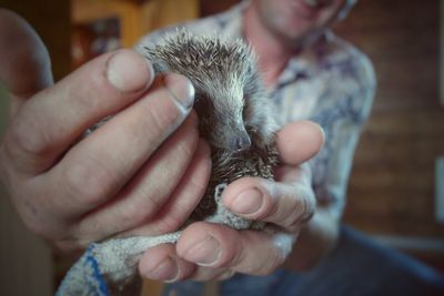 Man holding hedge hog at home