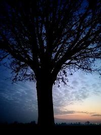 Low angle view of silhouette tree against sky at sunset