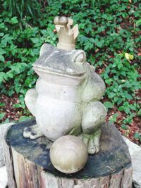 Close-up of statue in garden