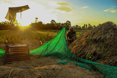 Scenic view of agricultural field against sky during sunset