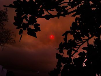 Low angle view of silhouette tree against sky at sunset