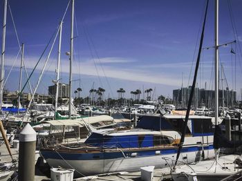 Sailboats moored at harbor