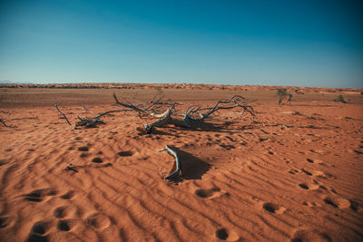 Scenic view of desert against clear sky